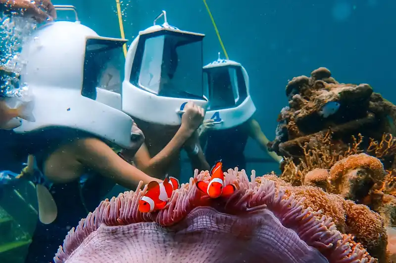 Sea walking experience