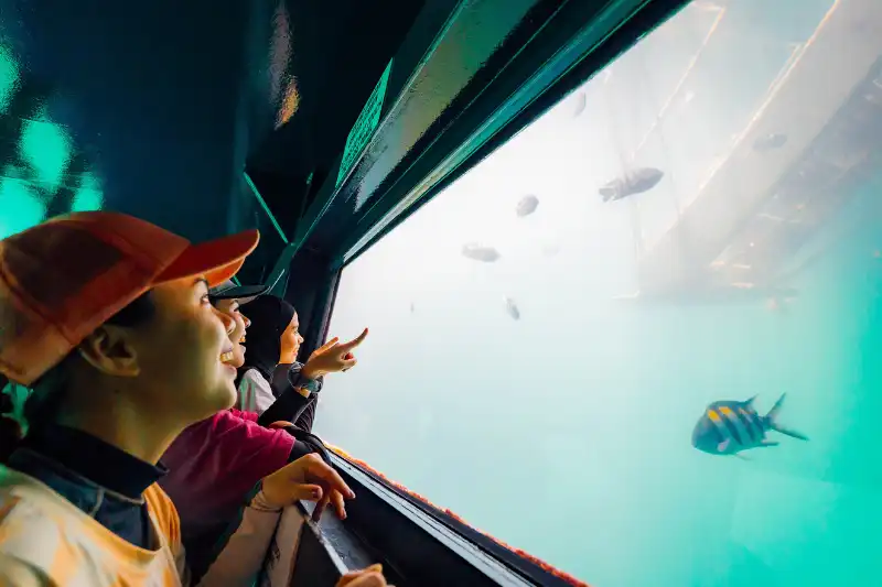 Group of beauty pageant contestants in sashes inside an underwater observatory in Kota Kinabalu