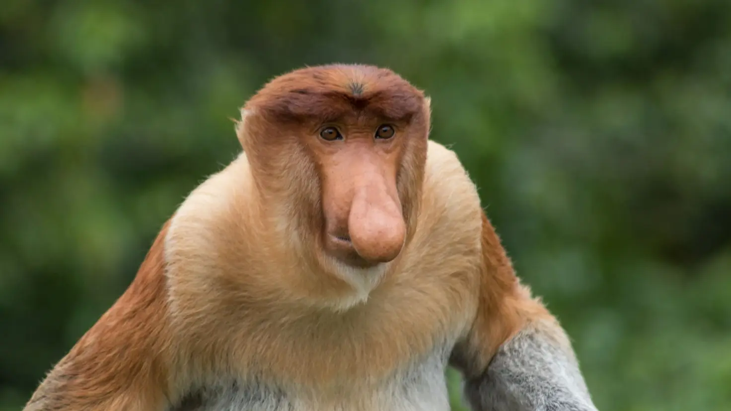 湿地河上巡游 - Image 2